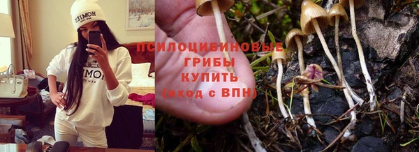 ALPHA-PVP Остров