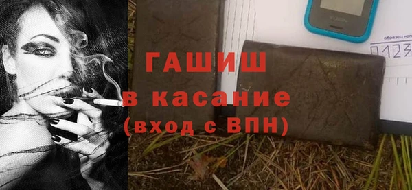 шишки Пестово