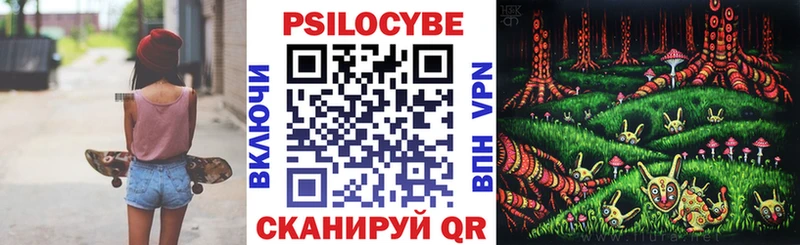 Галлюциногенные грибы Cubensis  закладки  Шебекино 